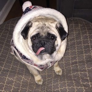 Meet your Posher, Alma